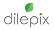 Logo Dilepix