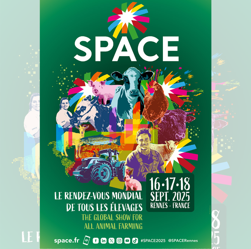 Design sans titre (2)-3